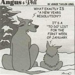 New Year's Resolutions